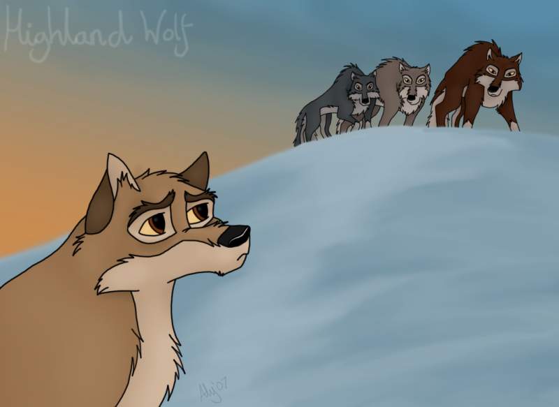 Not a Wolf, Not a Dog...