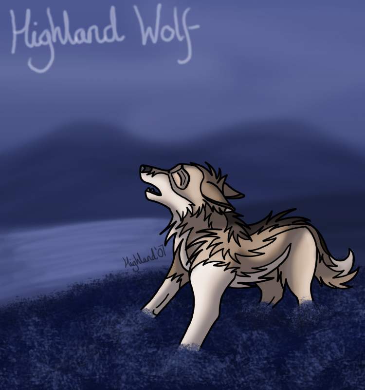 Highland howling in the heather
