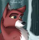 Roan