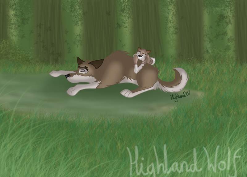 Balto and Alue, lazing in the forest