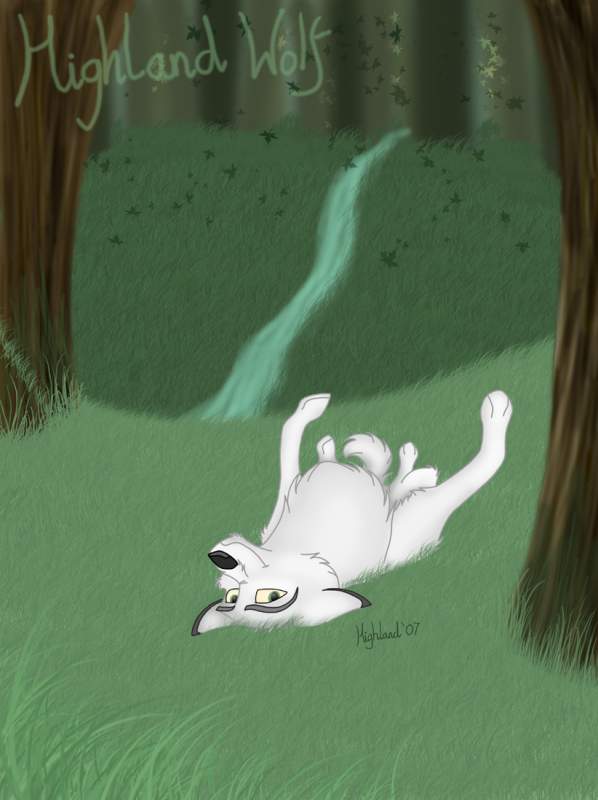 Faolan in the Celtic Forest