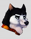 Steele Headshot