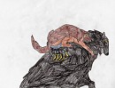 Bear attack