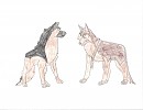 Lucas and Nikki (giftie for Rex Tin GSD)