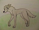 Dove for Fiddlefox!