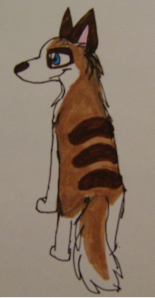 vinny.
