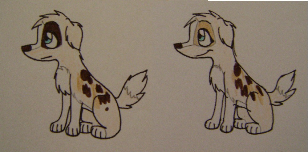 kyla and breezy as puppies :D