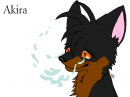 Akira