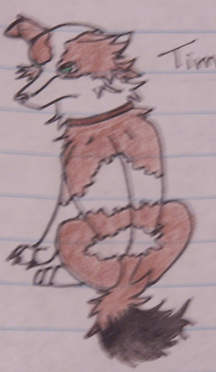 Timothy