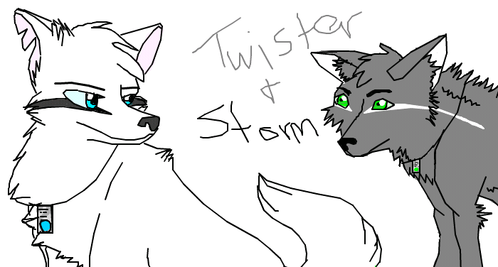 Storm and Twister