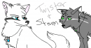 Storm and Twister