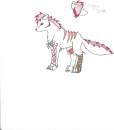 A wolf
