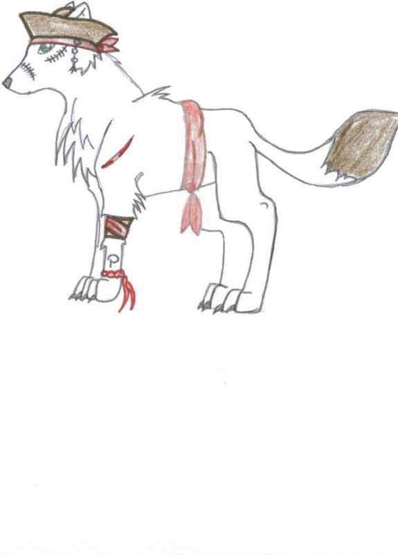 Me Pirate Wolfy