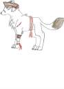 Me Pirate Wolfy