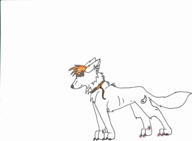 New character