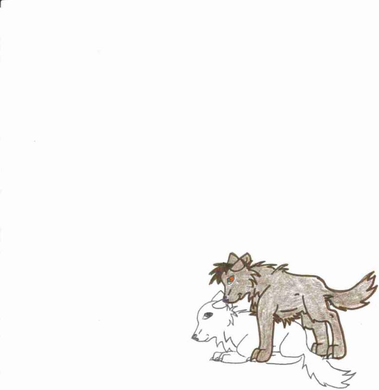 Quynan and Zuko as pups