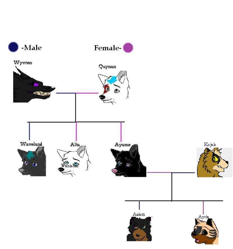 Family Tree *Edit*