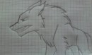 Mah first drawing!