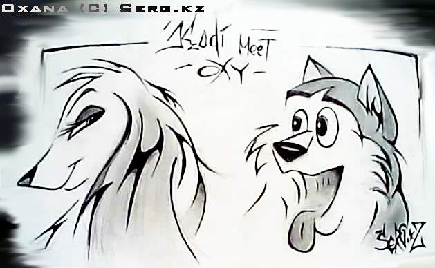 Kodi meet Oxy
