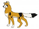 Felipe