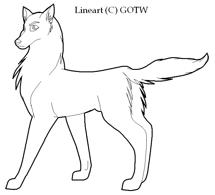 Wolf/Dog lineart