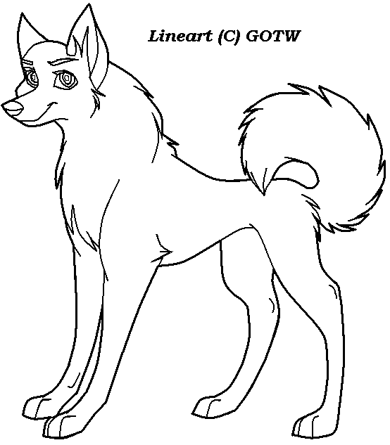 FEMALE dog lineart
