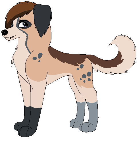Estee pup x3
