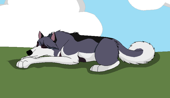 Big dog is sleeping ^ ^