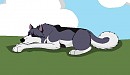 Big dog is sleeping ^ ^