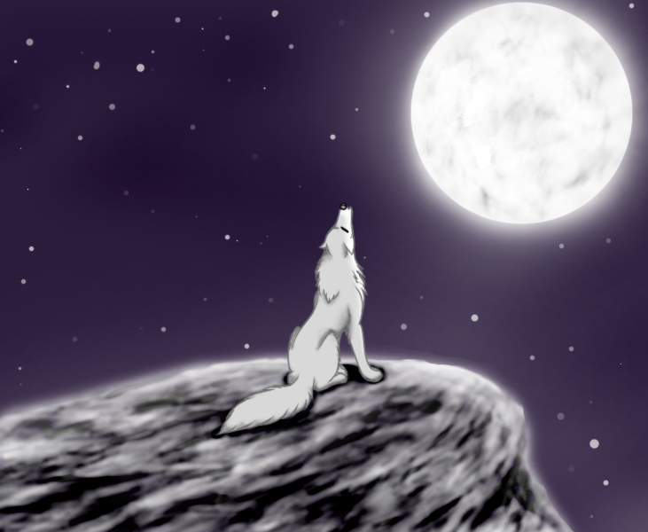 Just a pretty pic...xD