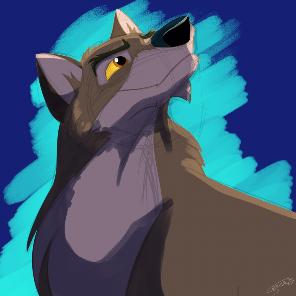 It's him.