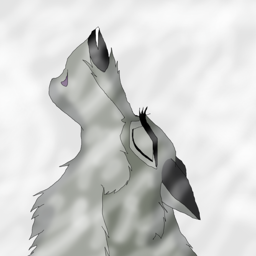Balto in a blizzard