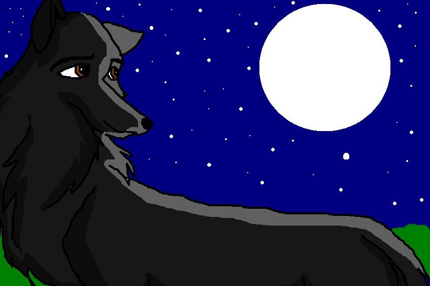 Chelsea at the moonlight