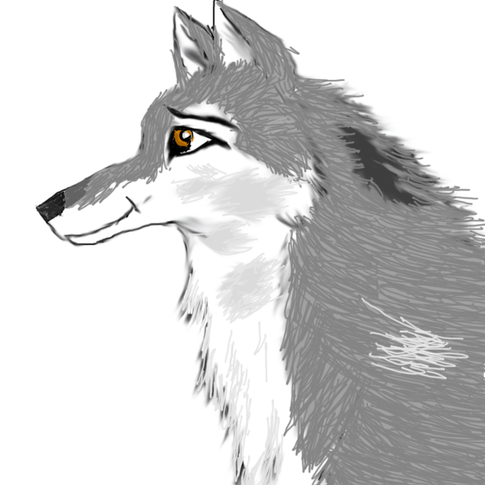 Realistic wolf...or just fur...