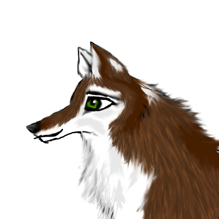 Random Wolf 2