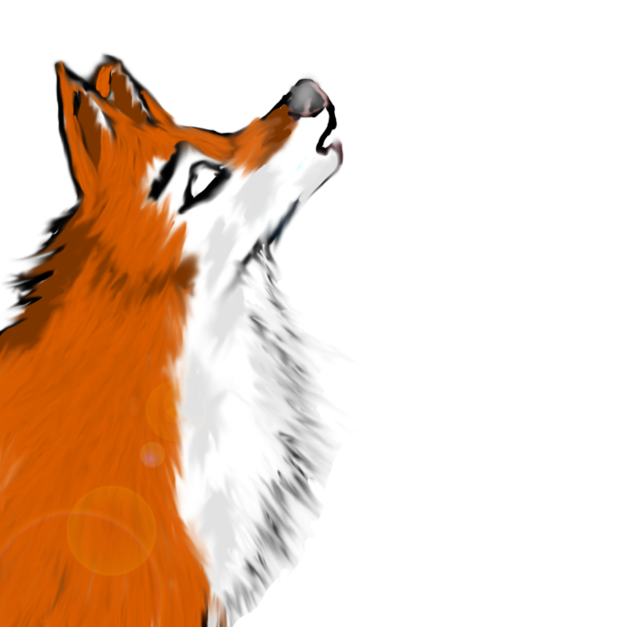Random Wolf 3