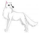 Young Aniu/White Wolf