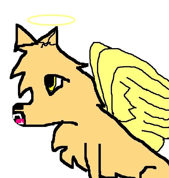 Sertean (me)