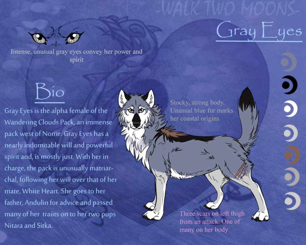Gray Eyes Reference Sheet