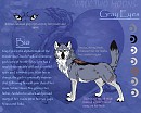 Gray Eyes Reference Sheet