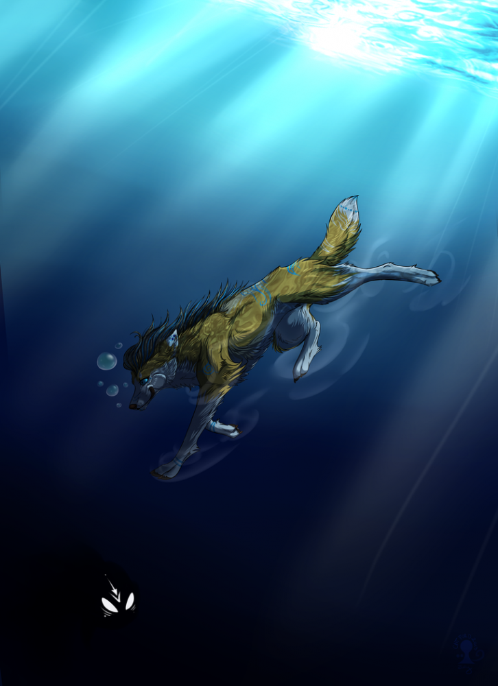 Dive! Dive!