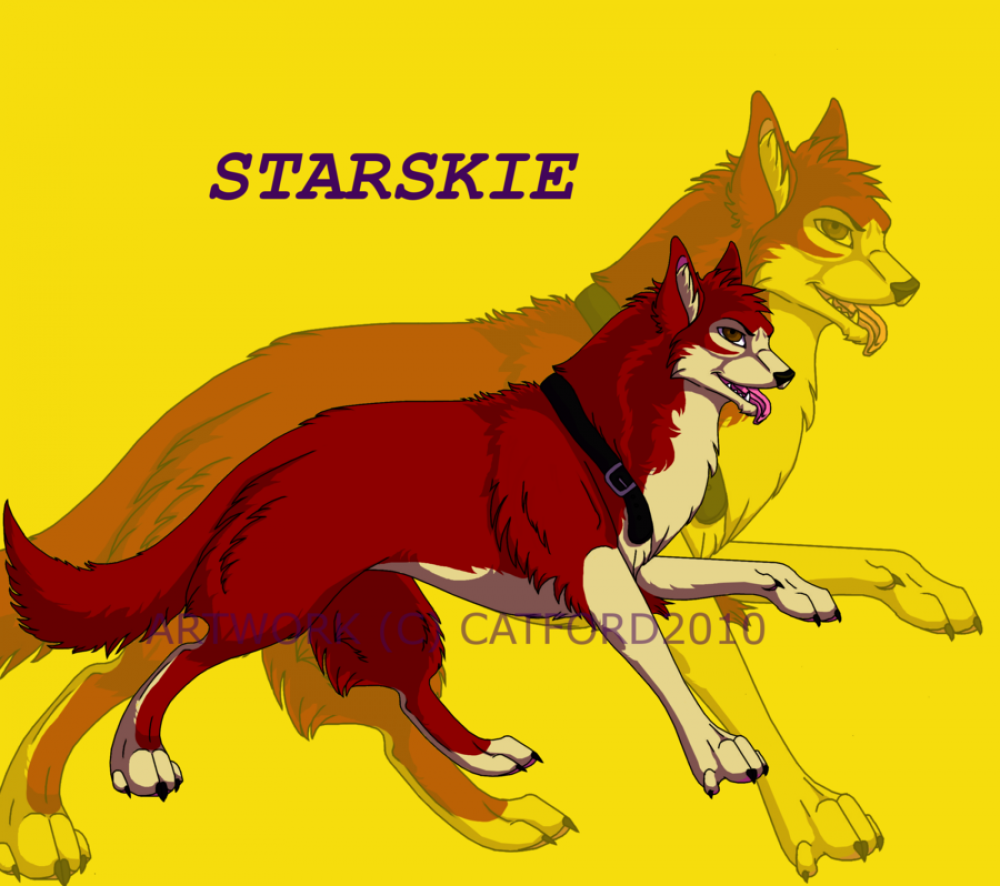 Starskie