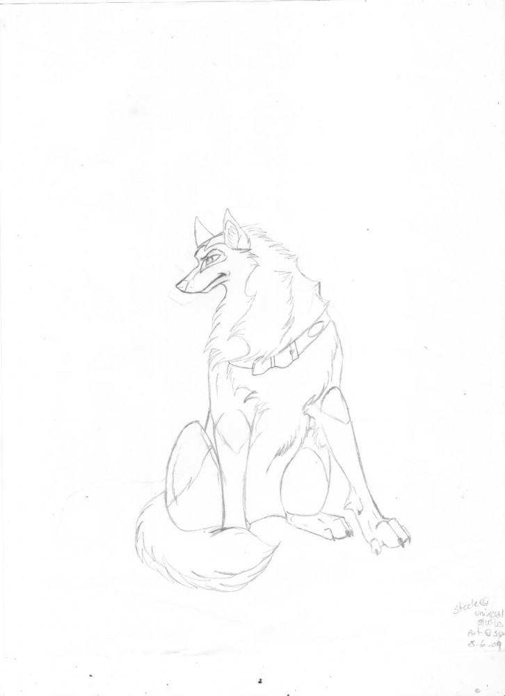 Steele Sketch