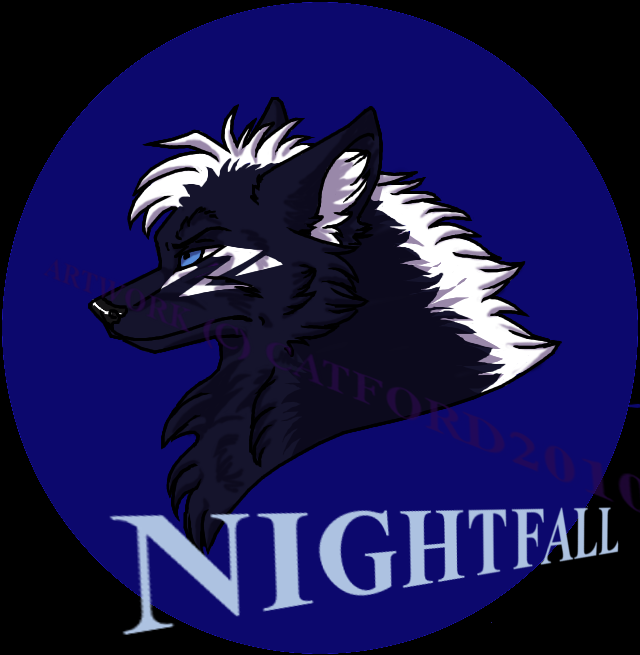 Nightfall Headshot