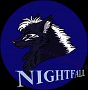 Nightfall Headshot
