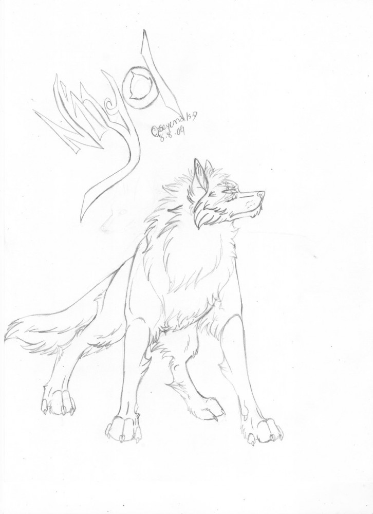 Niyol Sketch