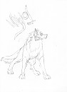 Niyol Sketch