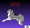 Garah