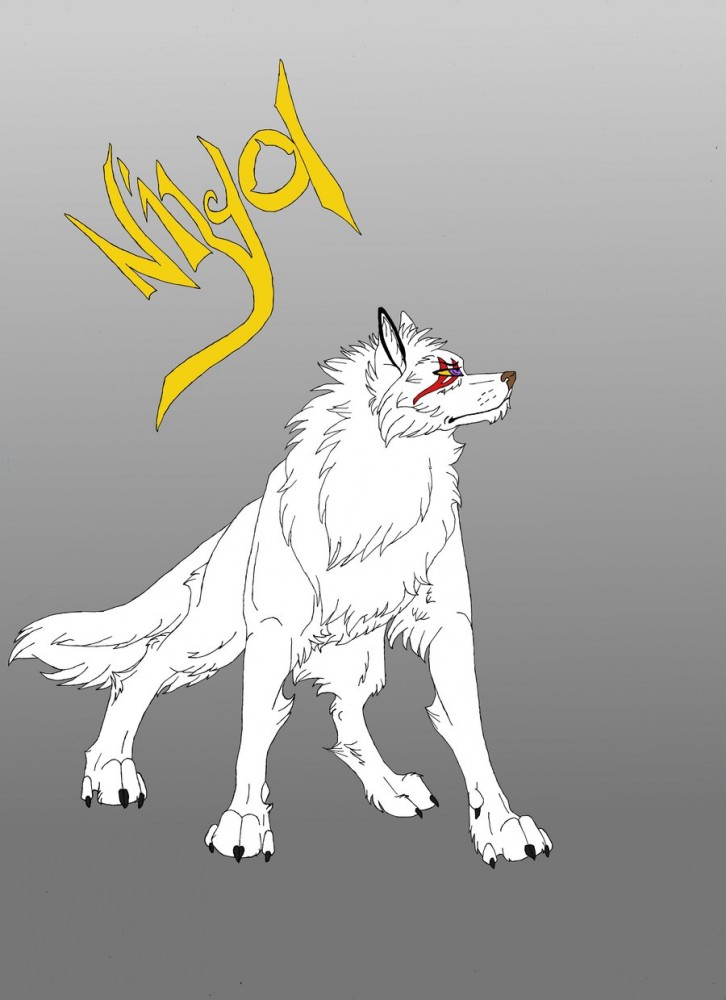 Niyol- Flat Colors