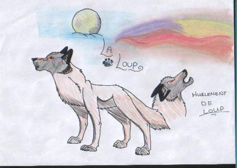 Howling wolf